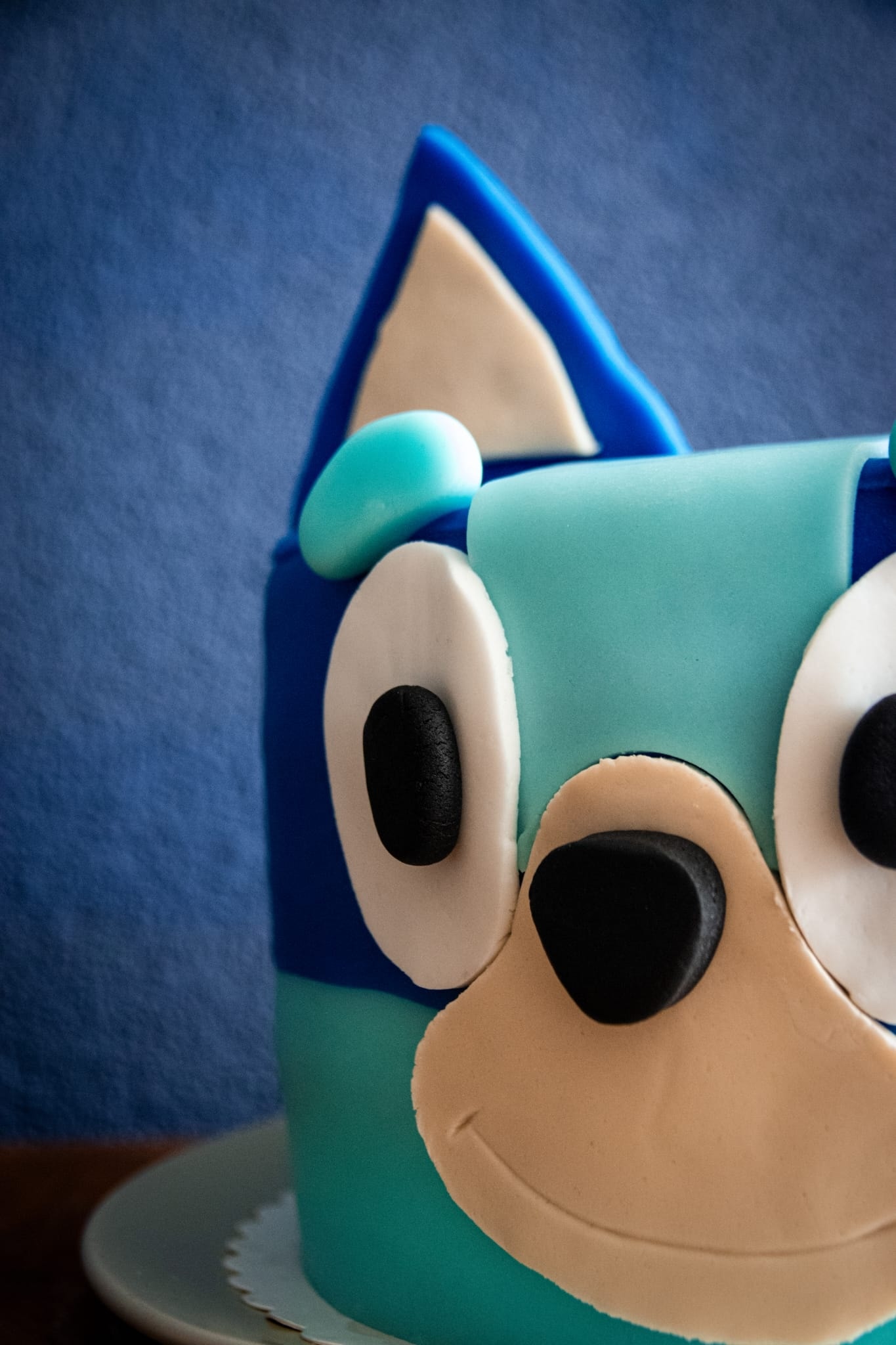 Bluey detail